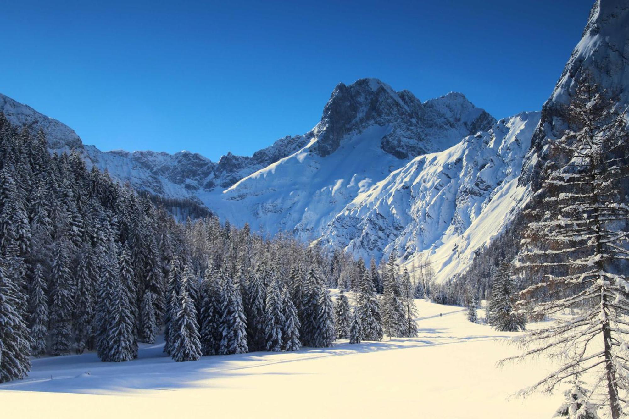 Chalets Grossmitt Pertisau Exterior photo